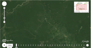 Zona del Amazonas brasileño en 1984