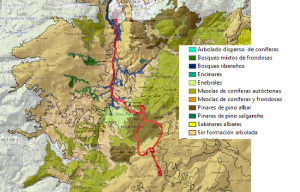 Nuestro recorrido a través de las distintas formaciones vegetales de la ascensión a Javalambre desde Camarena de la Sierra