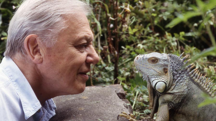 Crítica al movimiento escéptico II: David Attenborough y la sobrepoblación