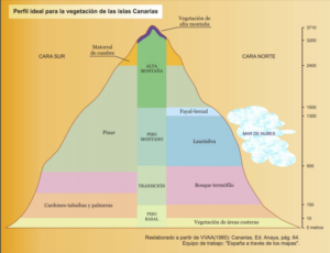 Perfil teórico de la vegetación canaria en base a la altitud del terreno. Fte: www.ign.es