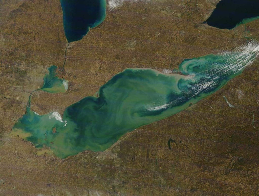 Imagen satelital del lago Erie, en la frontera entre Estados Unidos y Canadá. Este lago junto al resto de los Grandes Lagos están rodeados de grandes ciudades como Detroit, Chicago o Toronto, así como de grandes complejos industriales. En la imagen se aprecia el color verdoso que le aportan las algas.