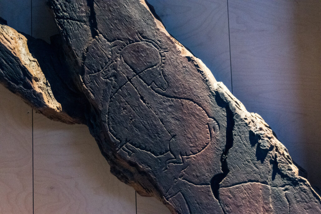 El arte rupestre del Valle del Côa